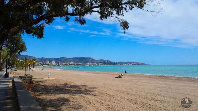 Apartamentos Centro Benicasim بينيكاسّين المظهر الخارجي الصورة